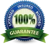 100% guarantee badge